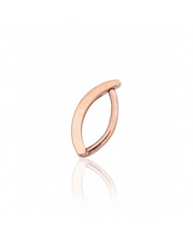 Auksinių auskarų vėrimas į bambą Pagrindinis