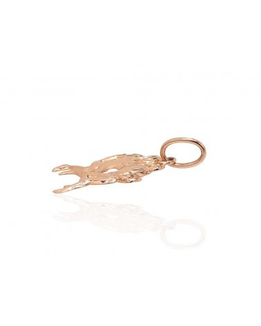 Auksinis pakabukas Pagrindinis