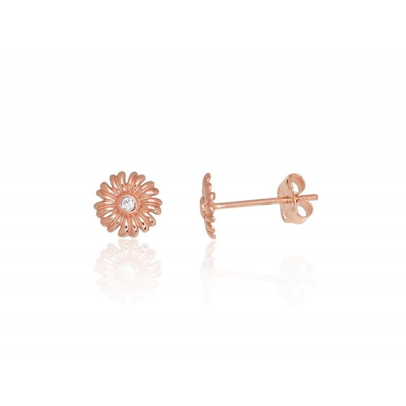 Auksiniai auskarai –pusetai Auskarai